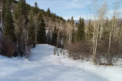 Tbd Pfister Drive, Aspen, CO 81611 - Photo 22