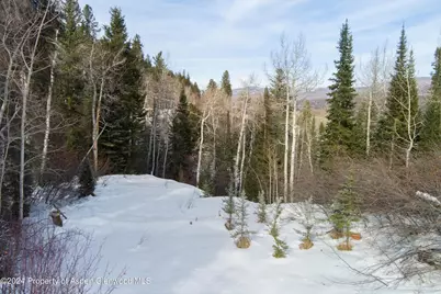 Tbd Pfister Drive, Aspen, CO 81611 - Photo 12
