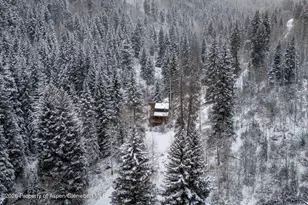 290 Ruedi Creek Rd, Basalt, CO 81621 - Photo 58