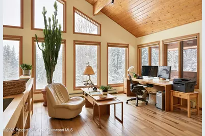 290 Ruedi Creek Road, Basalt, CO 81621 - Photo 18