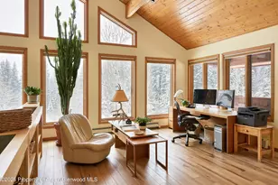 290 Ruedi Creek Rd, Basalt, CO 81621 - Photo 18