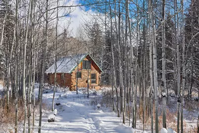 290 Ruedi Creek Road, Basalt, CO 81621 - Photo 28