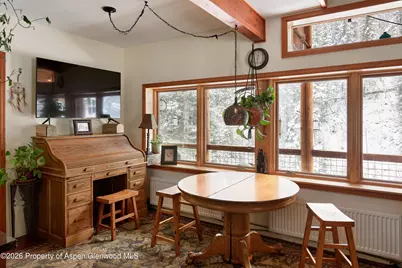 290 Ruedi Creek Road, Basalt, CO 81621 - Photo 44