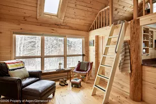 290 Ruedi Creek Rd, Basalt, CO 81621 - Photo 32