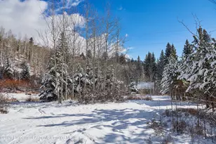 290 Ruedi Creek Rd, Basalt, CO 81621 - Photo 26