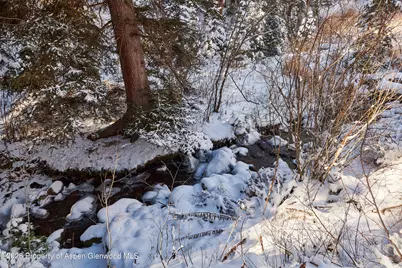 290 Ruedi Creek Road, Basalt, CO 81621 - Photo 52