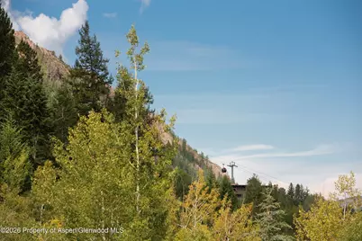 1271 Ute Avenue, Aspen, CO 81611 - Photo 48