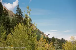 1271 Ute Ave, Aspen, CO 81611 - Photo 48