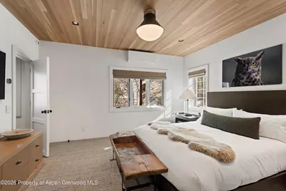 1271 Ute Avenue, Aspen, CO 81611 - Photo 24