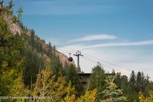 1271 Ute Ave, Aspen, CO 81611 - Photo 46