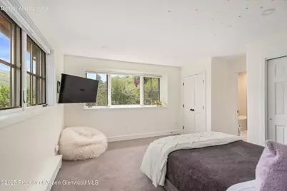 701 Brush Creek Road, Aspen, CO 81611 - Photo 14