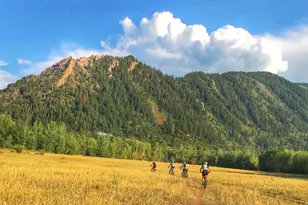 3904 Brush Creek Rd, Snowmass Village, CO 81615 - Photo 36