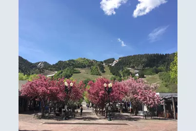 3904 Brush Creek Road #9, Snowmass Village, CO 81615 - Photo 34