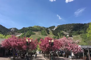 3904 Brush Creek Rd, Snowmass Village, CO 81615 - Photo 34