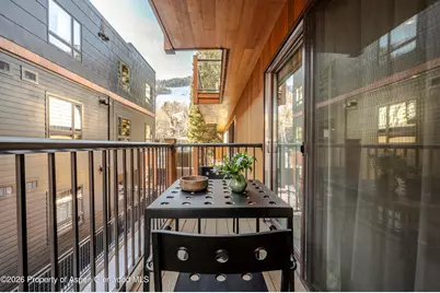 205 E Durant Avenue #2j, Aspen, CO 81611 - Photo 10