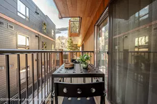 205 E Durant Ave, Aspen, CO 81611 - Photo 10