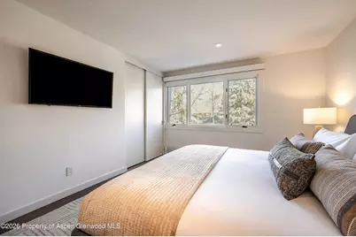 205 E Durant Avenue #2j, Aspen, CO 81611 - Photo 14