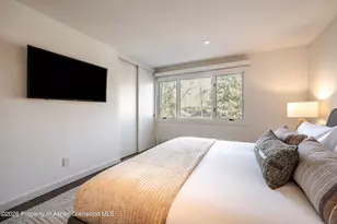 205 E Durant Ave, Aspen, CO 81611 - Photo 14