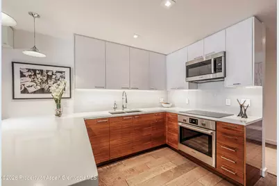 205 E Durant Avenue #2j, Aspen, CO 81611 - Photo 6