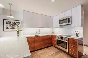 205 E Durant Ave, Aspen, CO 81611 - Photo 6