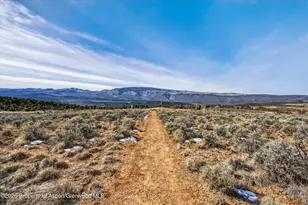 1136 Elk Springs Dr, Glenwood Springs, CO 81601 - Photo 44