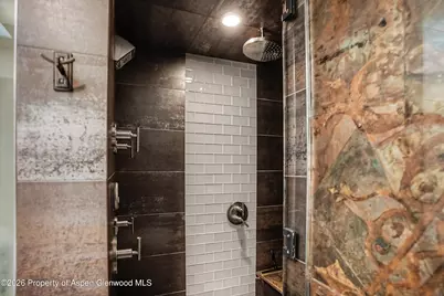 100 E Dean Street #3c, Aspen, CO 81611 - Photo 10