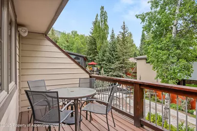 322 Park Avenue #Unit 1, Aspen, CO 81611 - Photo 22