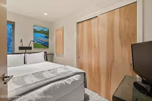 322 Park Ave, Aspen, CO 81611 - Photo 18