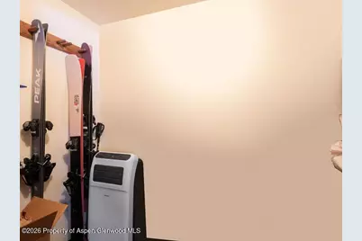 700 S Monarch Street #107, Aspen, CO 81611 - Photo 10