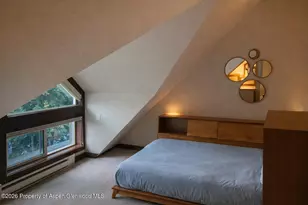 409 Park Cir, Aspen, CO 81611 - Photo 10