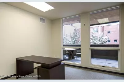 625 E Main Street #204, Aspen, CO 81611 - Photo 12