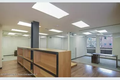 625 E Main Street #204, Aspen, CO 81611 - Photo 8