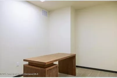 625 E Main Street #204, Aspen, CO 81611 - Photo 14