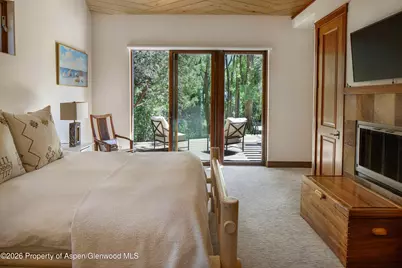 256 Twining Flats Road, Aspen, CO 81611 - Photo 24