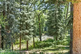 256 Twining Flats Rd, Aspen, CO 81611 - Photo 32
