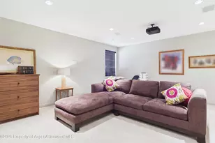 256 Twining Flats Rd, Aspen, CO 81611 - Photo 14