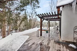 256 Twining Flats Rd, Aspen, CO 81611 - Photo 24