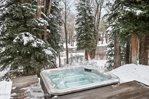 256 Twining Flats Rd, Aspen, CO 81611 - Photo 20