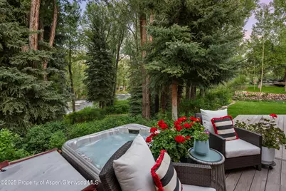 256 Twining Flats Road, Aspen, CO 81611 - Photo 38