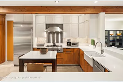 256 Twining Flats Road, Aspen, CO 81611 - Photo 12