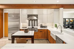 256 Twining Flats Rd, Aspen, CO 81611 - Photo 12