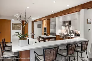 256 Twining Flats Rd, Aspen, CO 81611 - Photo 14