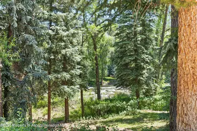256 Twining Flats Road, Aspen, CO 81611 - Photo 36