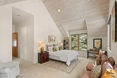 256 Twining Flats Road, Aspen, CO 81611 - Photo 18