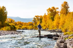 140 Basalt Center Cir, Basalt, CO 81621 - Photo 20