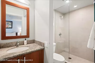 610 S West End Street #H403, Aspen, CO 81611 - Photo 24