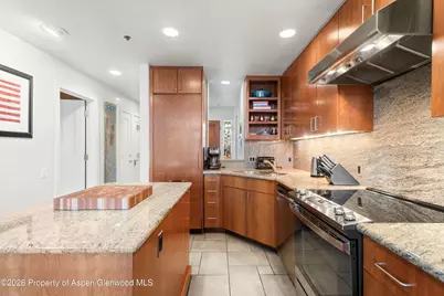 610 S West End Street #H403, Aspen, CO 81611 - Photo 10
