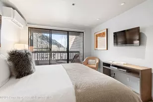 610 S West End St, Aspen, CO 81611 - Photo 14