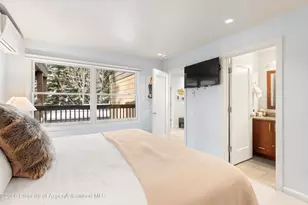 610 S West End St, Aspen, CO 81611 - Photo 18
