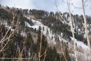 610 S West End St, Aspen, CO 81611 - Photo 8